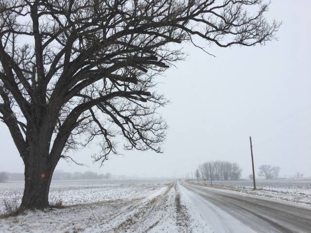 ‘A real snowy trend’ may not be in the cards for February